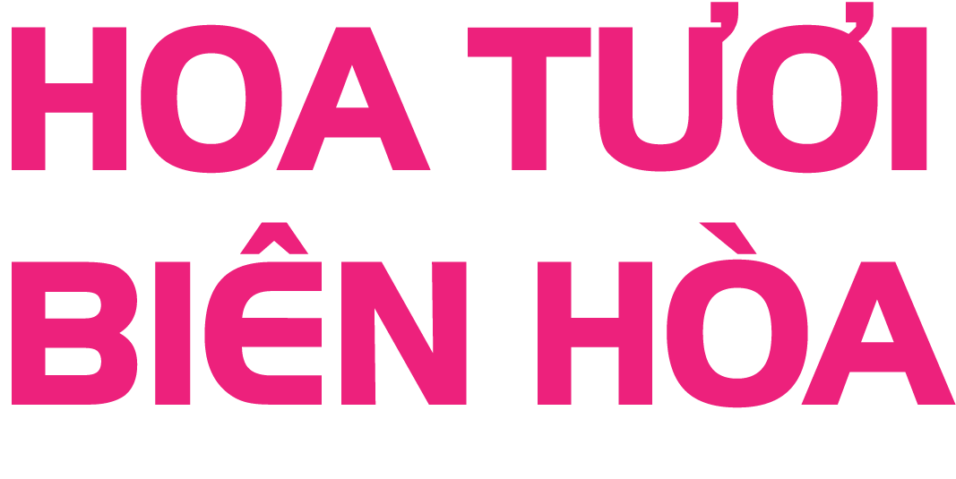 Hoa tươi Biên Hòa – N.Flower